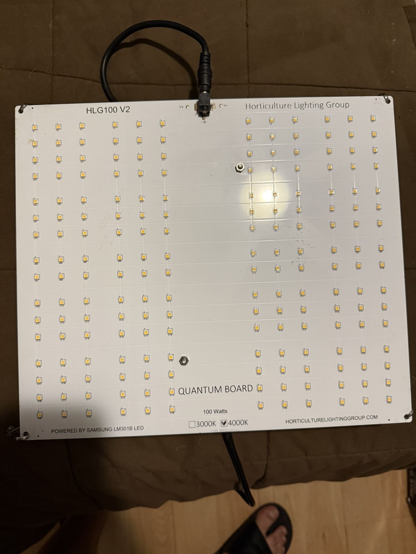 HLG 100 V2 Grow Light