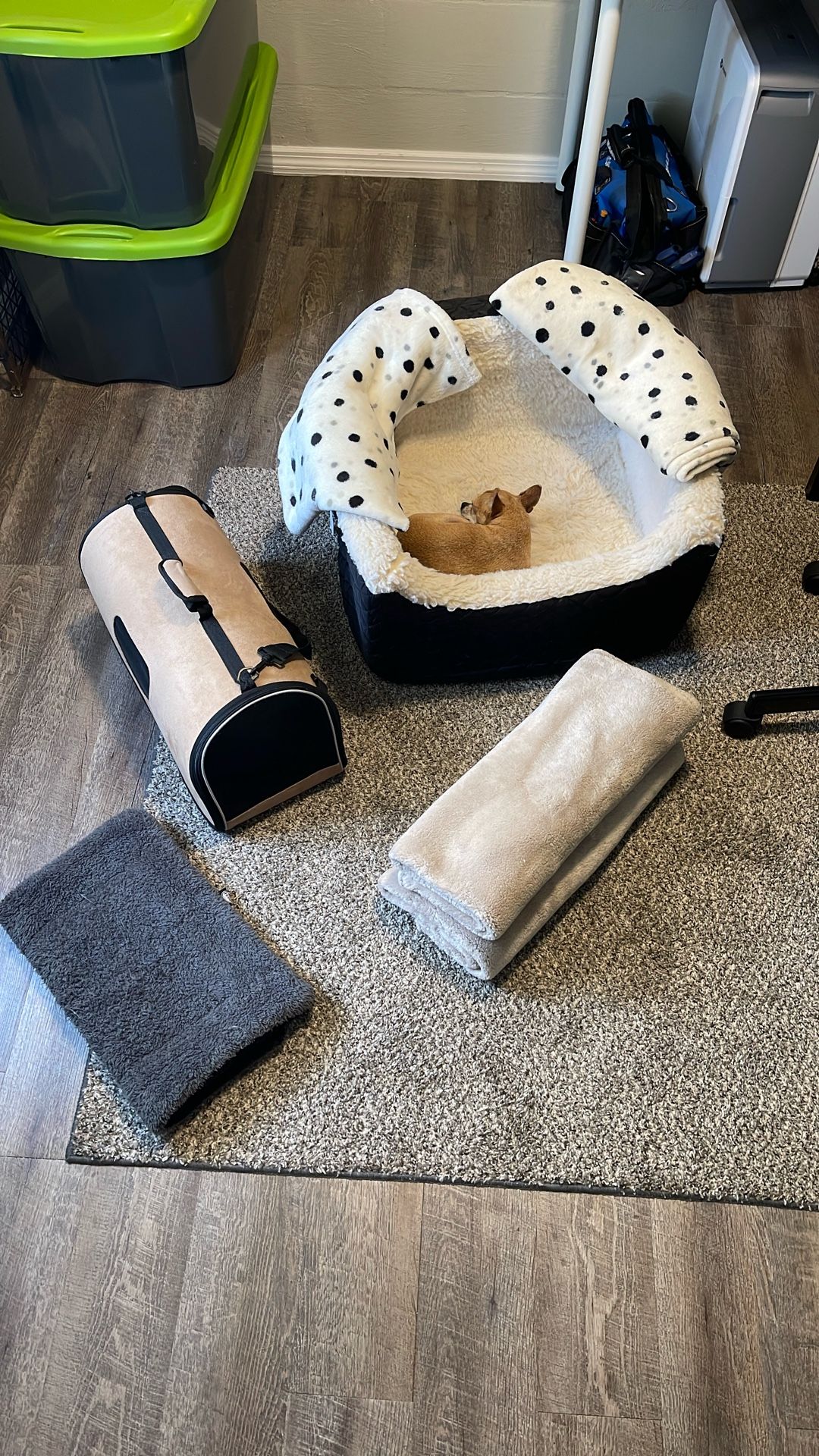 Small Dog Bundle 
