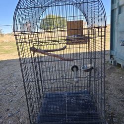 Bird Cage
