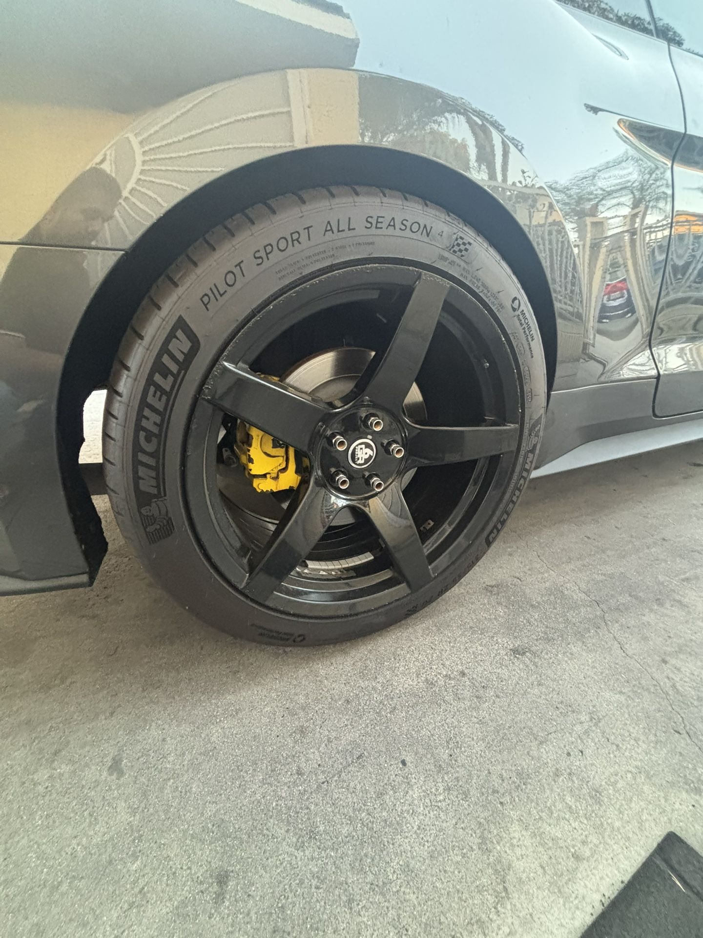 Mustang Wheels 