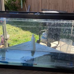 Big Fish Tank Needs Cleaning Works Well