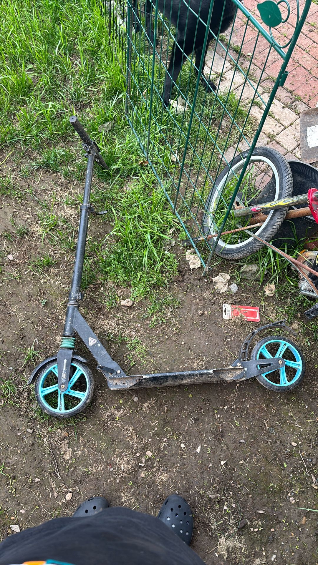 Rlairn