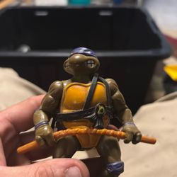 Teenage Mutant Ninja Turtles