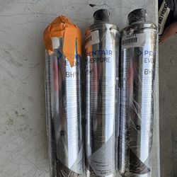 Pentair Everpure BH2