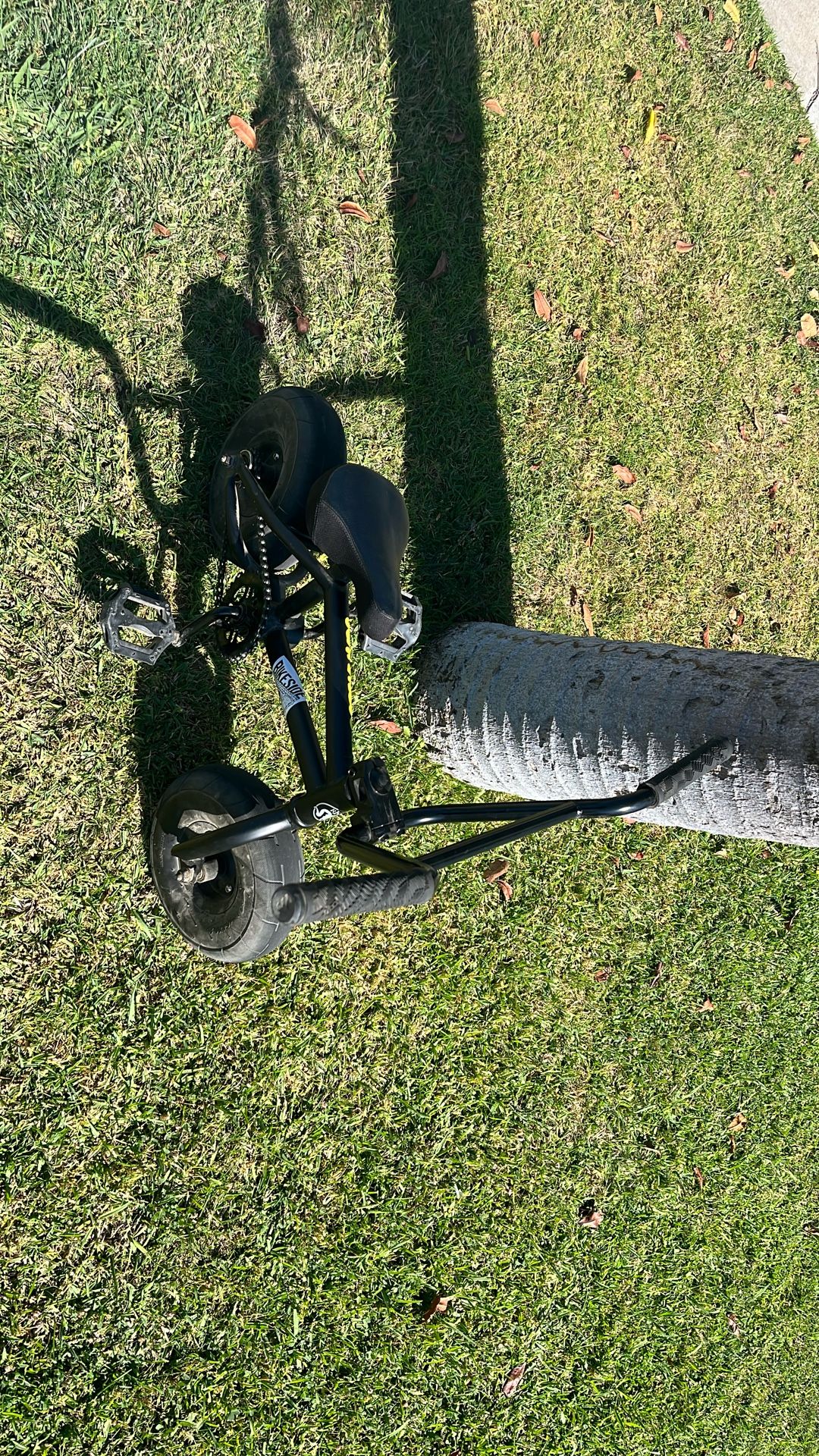 Rocker Bike