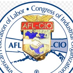 AFL-CIO 1960s Enamel Union Eagle Pin, 0.5x0.75”