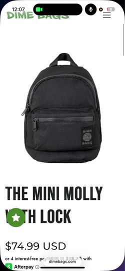 Smell proof lock bag