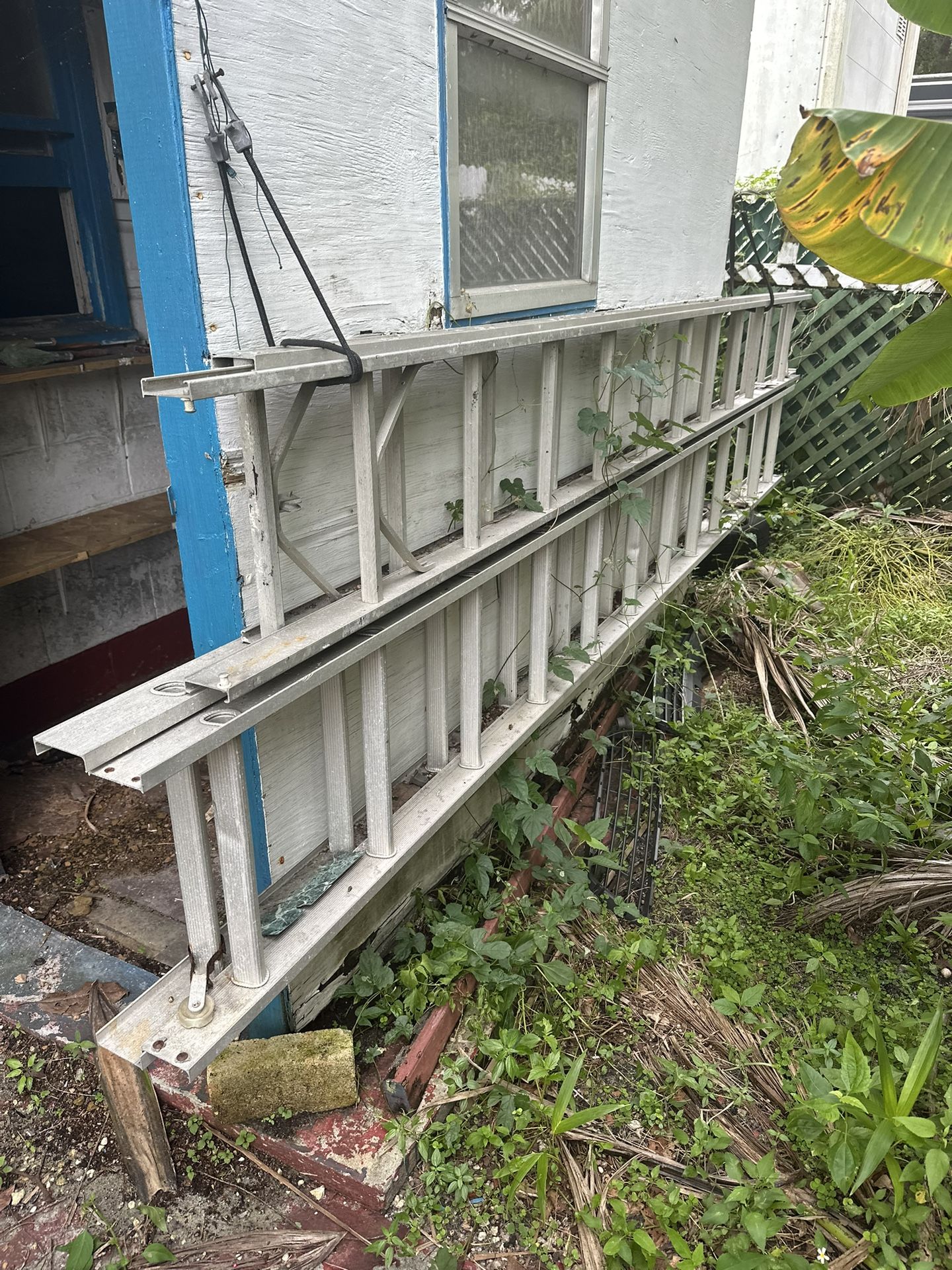 2 Ladders 