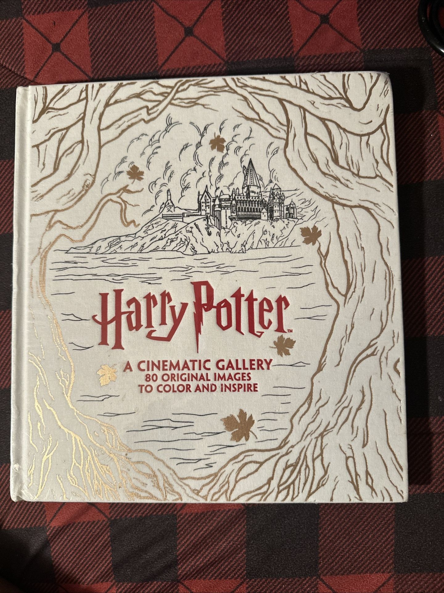 Harry Potter: a Cinematic Gallery : 80 Original Images to Color and Inspire...