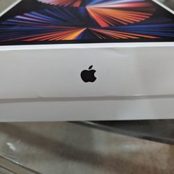 IPad Pro M1 Chip 5th Gen 156 Gb