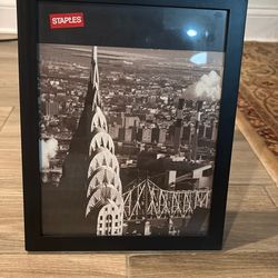 Staples Picture Frames