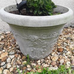 Beautiful Huge Double  Hard Plastic Pot With Huge Blooming Plant In Weeki Wachee Spring Hill