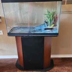 My Aquarium 