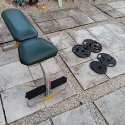 Bench & Weights