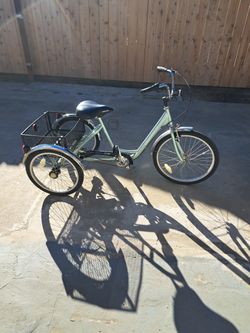 Adult Bike