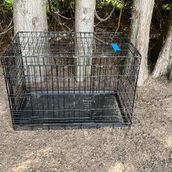 Dog Kennel