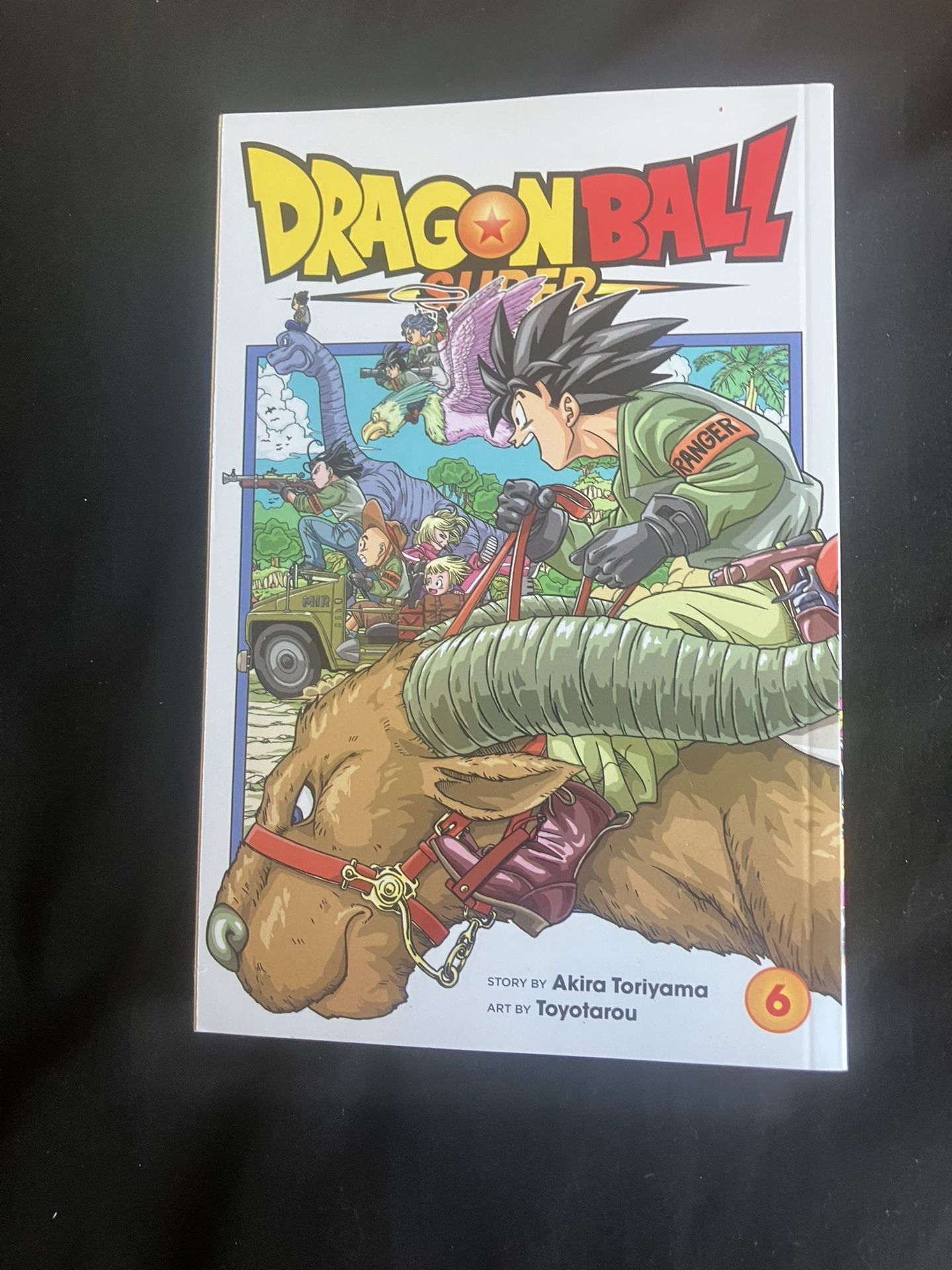 DBS Vol 6