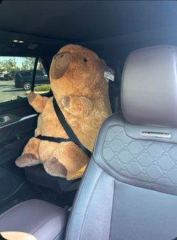 Costco capi bara