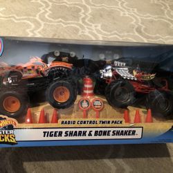 Hot Wheels Radio Control Twin Pack.