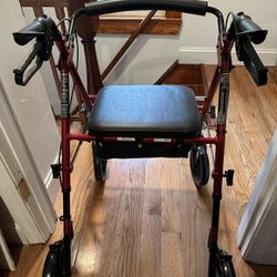 Drive Rolling Walker 