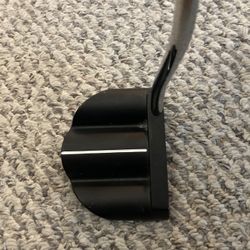 Heavy Putter