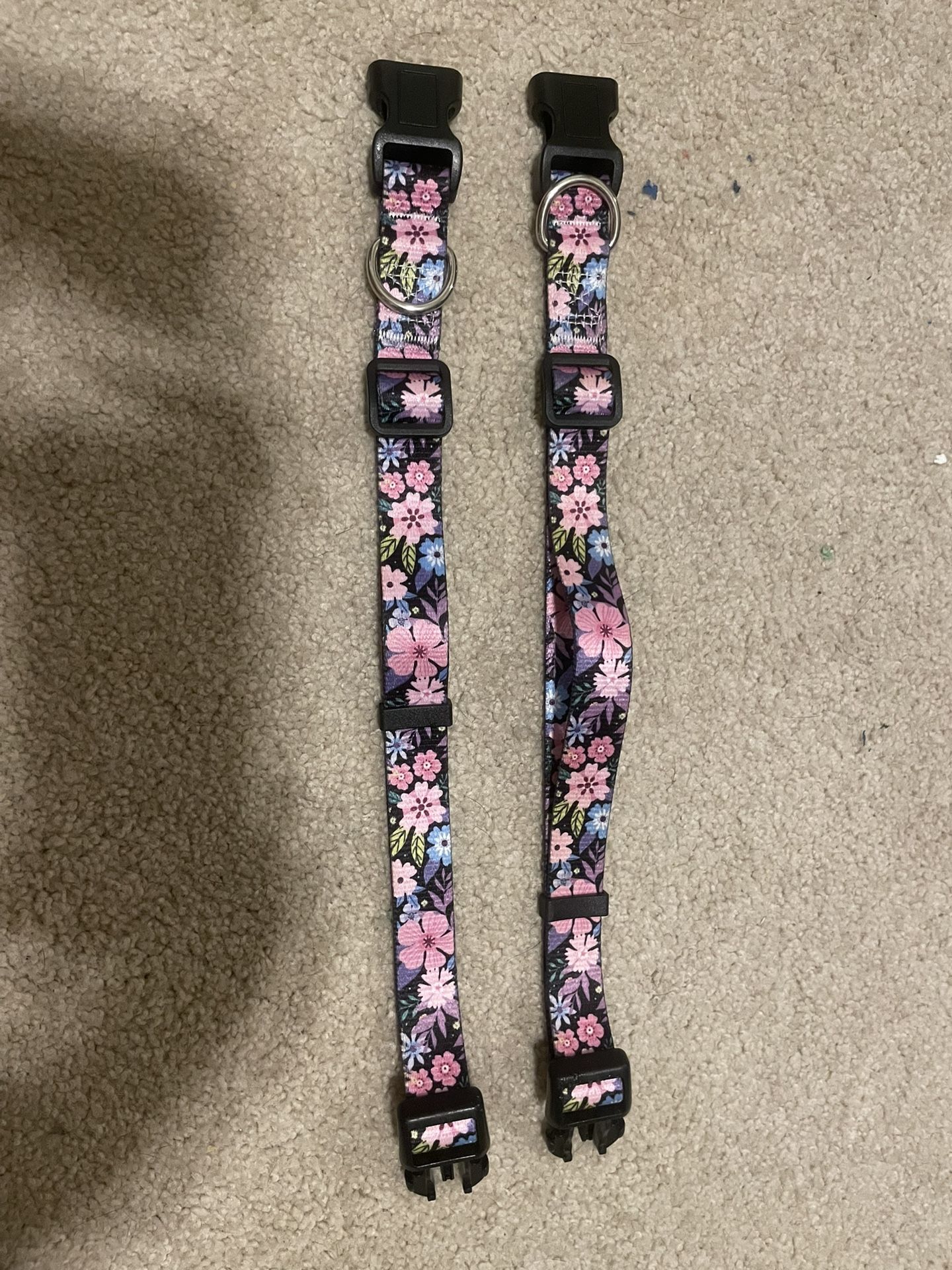Tiny dog collar
