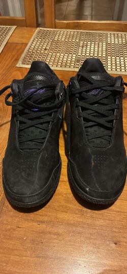 LeBron Diana taurasi