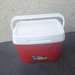 Igloo Cooler