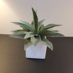 A  Artificial Plant  .     See  Size  .