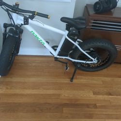 Electric E-bike