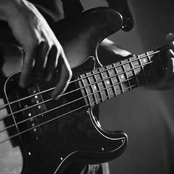 Experienced Bassist
