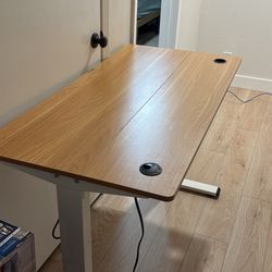 Standing Desk 47.5 X 24