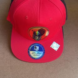 Roster SnapBack Hat $20 Each