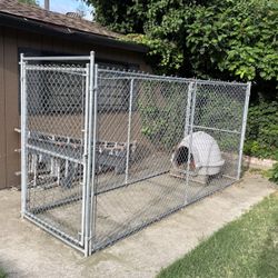 Dog Run
