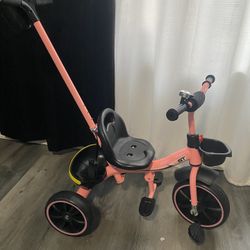 Toddler Tricycle 
