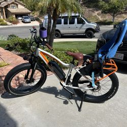 Rad Rover E Bike With Kid Passenger Package