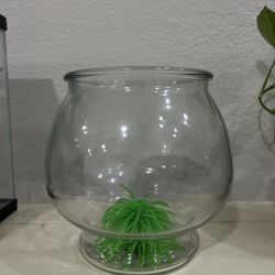 Fish Bowl 