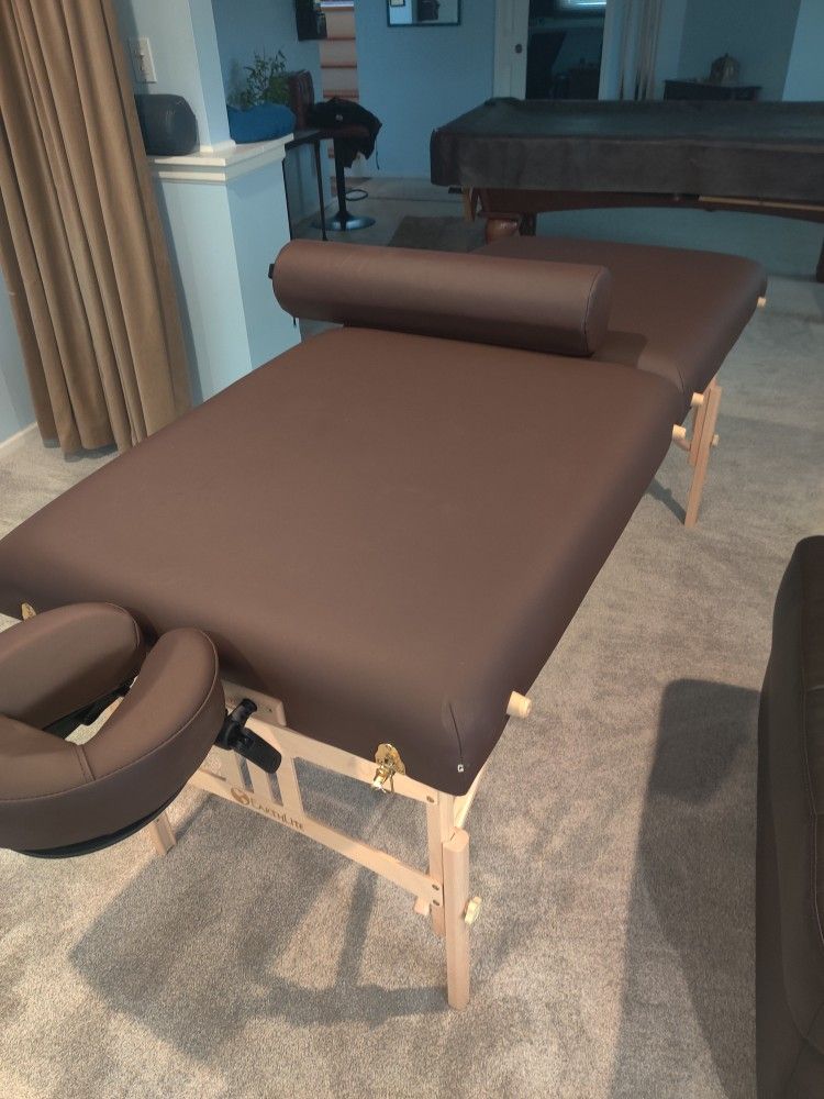 Massage Table Earthlite Alumnus Portable
