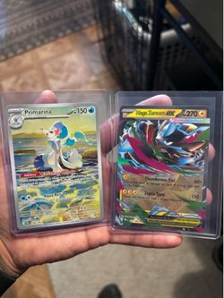 Pokémon pitch black