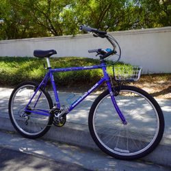 Diamond Back Ascent Retro Mountain Bike