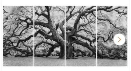 Empire Art Direct Angel Oak Tempered Glass Wall Art Set of 4