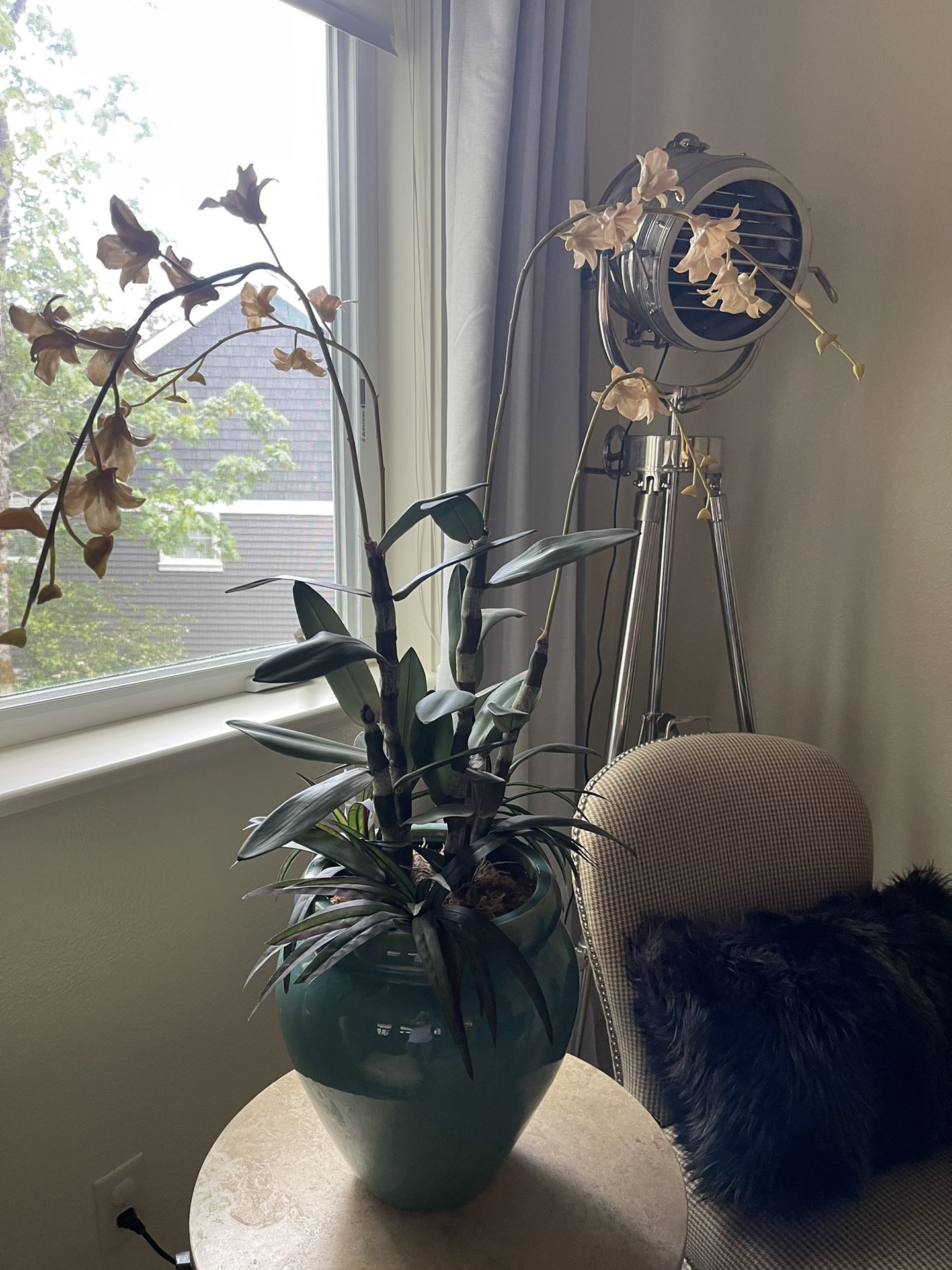 Huge Silk Orchid In Ceramic Pot