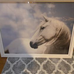 Horse Frame