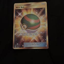 Pokemon Nest Ball