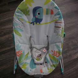 Baby Bouncer
