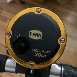 penn squall 30 