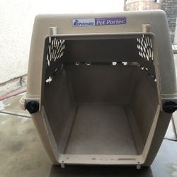 DOG  CASE