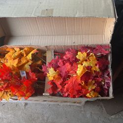 Fall Decorations 