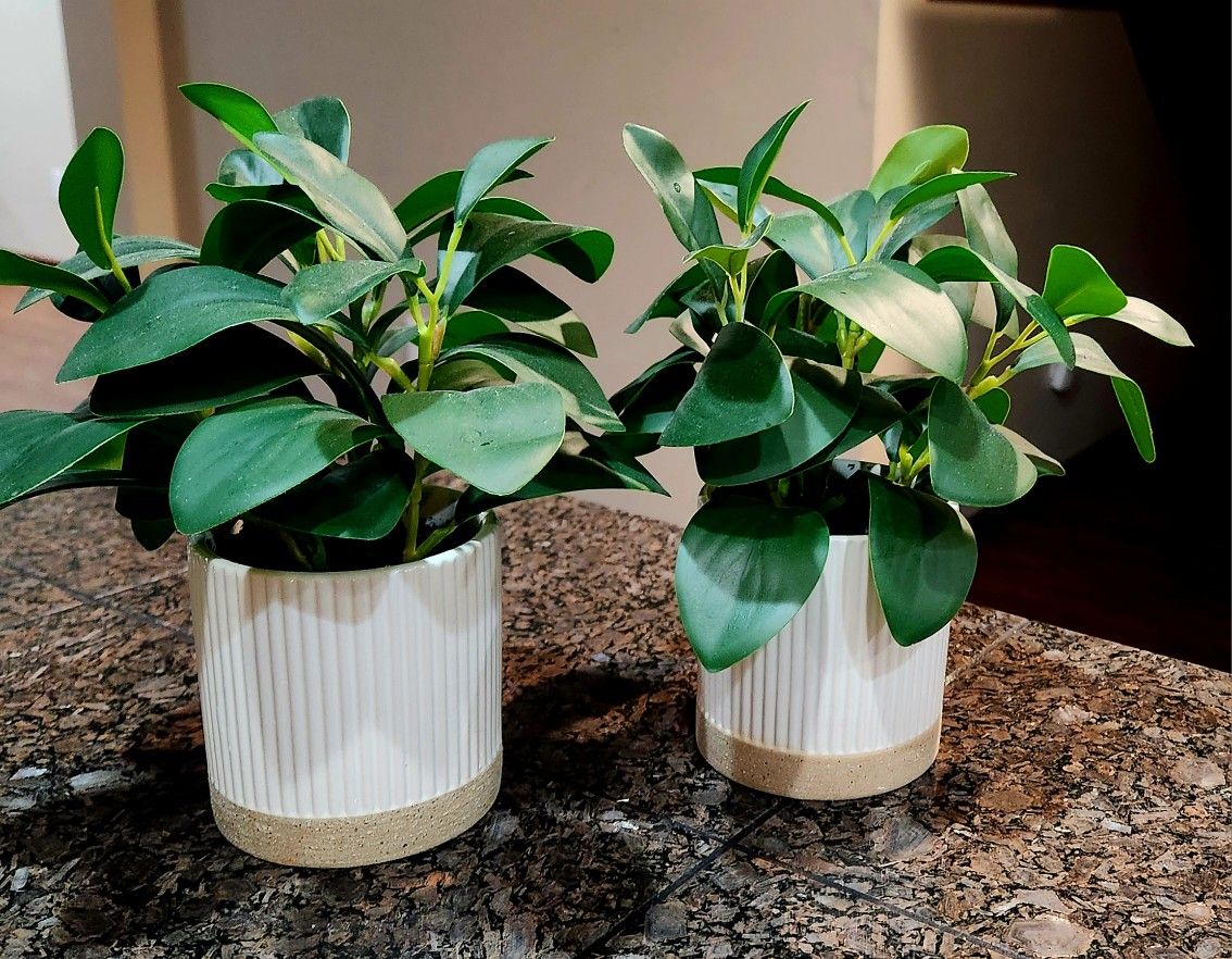New 2 × Artificial Plants In Ceramic Pots