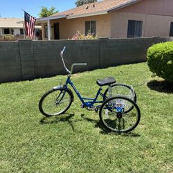 MIAMI TRIKE BICYCLE
